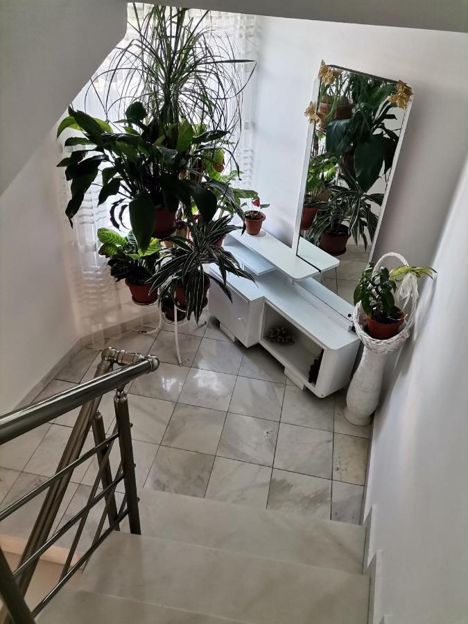 Guest House Konomaevi Σωζόπολη Εξωτερικό φωτογραφία