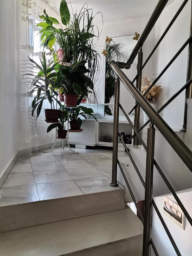 Guest House Konomaevi Σωζόπολη Εξωτερικό φωτογραφία